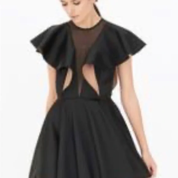 - Sandro dragon fly cocktail dress - Picture 1 of 12